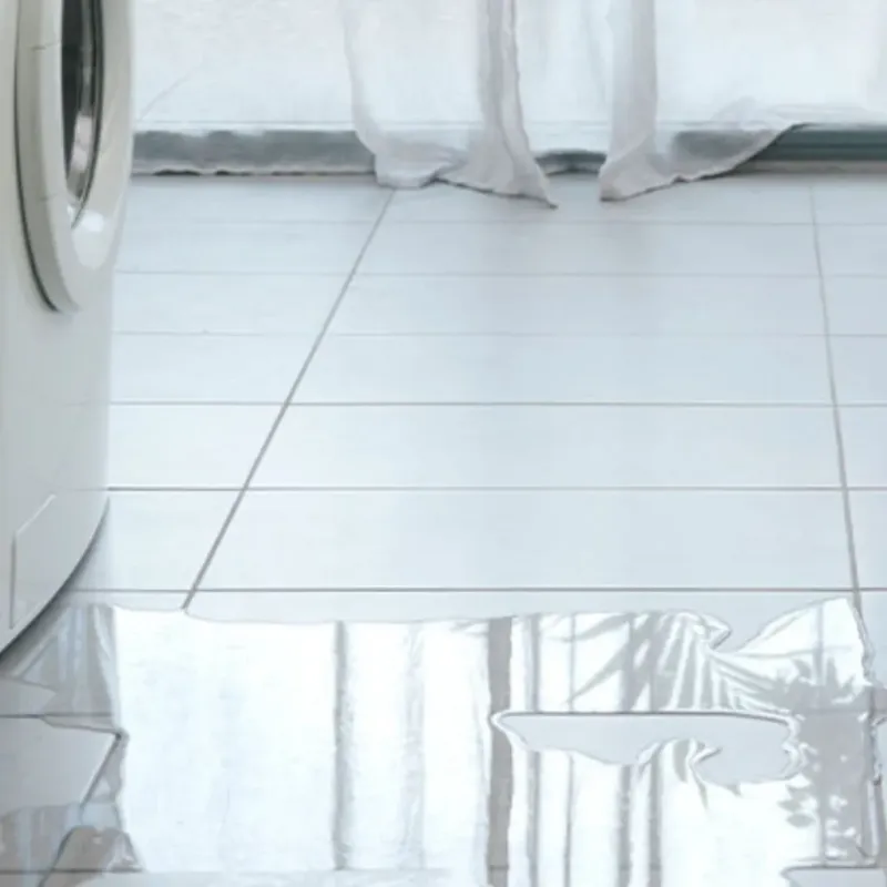 Appliance Leak Cleanup in Selbyville, DE