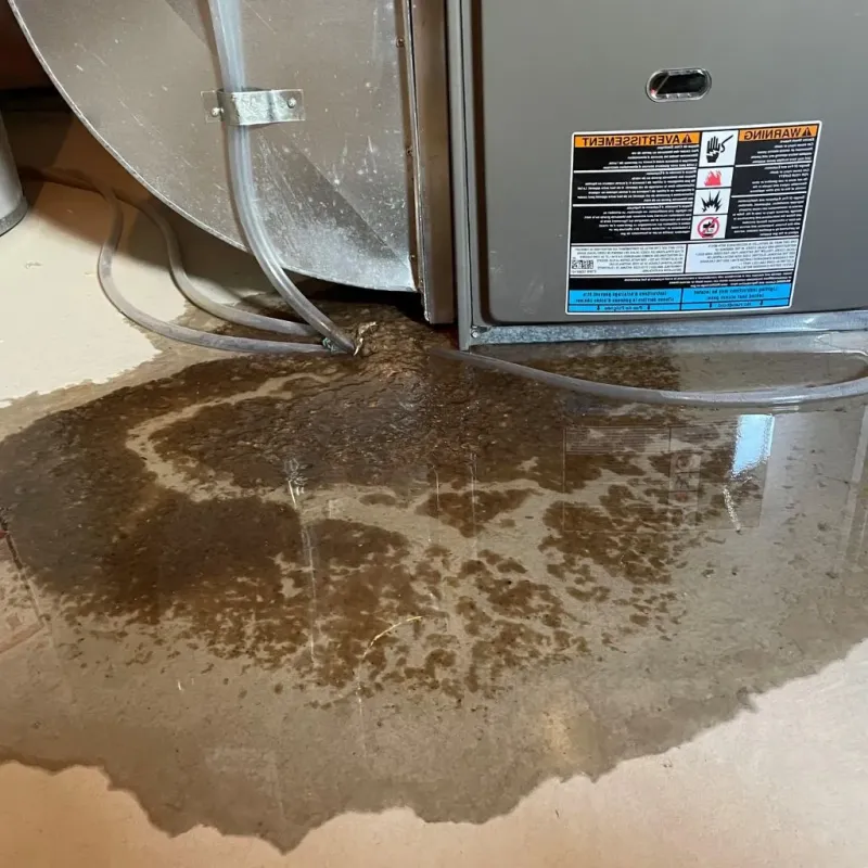 Pipe Burst and Leak Restoration in Selbyville, DE