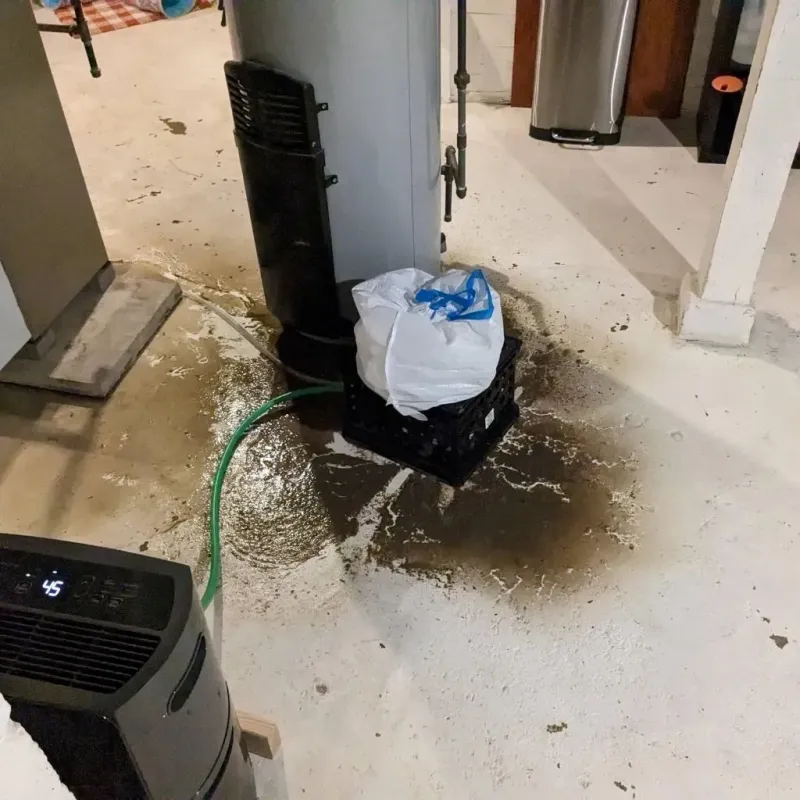 Sewage Backup Cleanup Service in Selbyville, DE